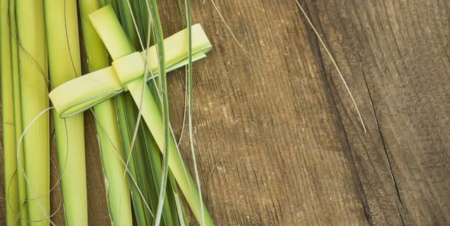 Bring in Your Palms!